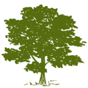 Logo of University Community Health Center