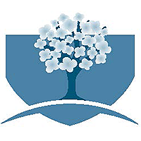 Logo of Blossom Valley Oral and Maxillofacial Surgery, Dr. Shahin Taghikhan DDS